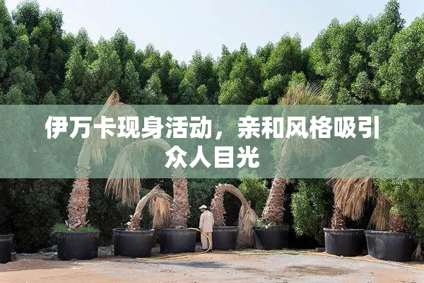 伊万卡现身活动，亲和风格吸引众人目光