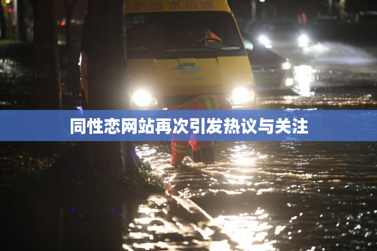 同性恋网站再次引发热议与关注