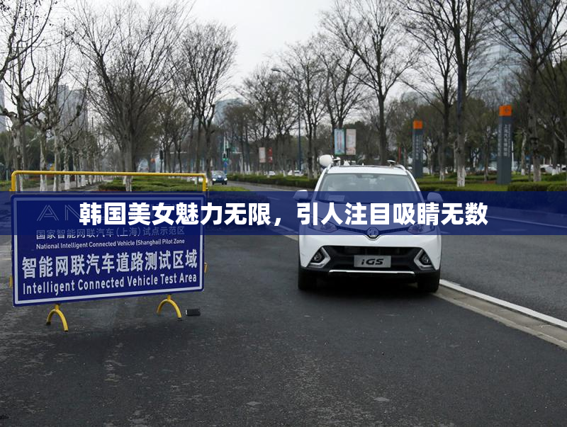 韩国美女魅力无限，引人注目吸睛无数