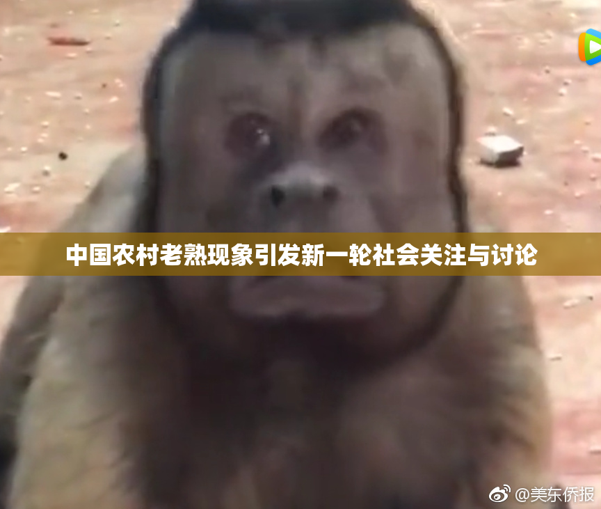 中国农村老熟现象引发新一轮社会关注与讨论