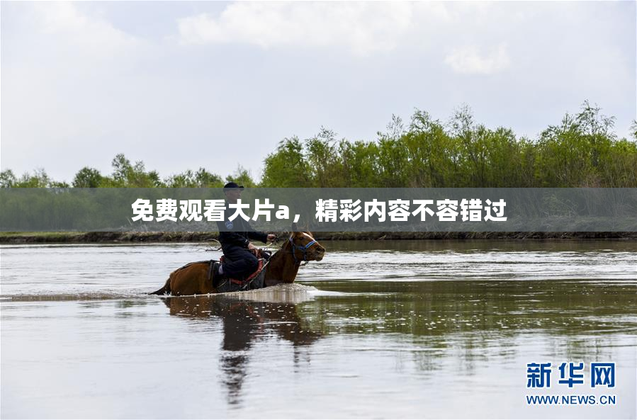 免费观看大片a，精彩内容不容错过