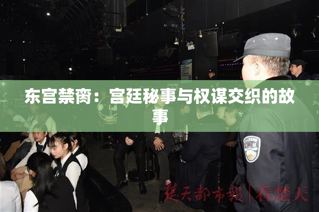 东宫禁脔：宫廷秘事与权谋交织的故事