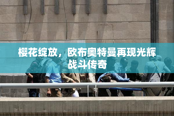 樱花绽放，欧布奥特曼再现光辉战斗传奇