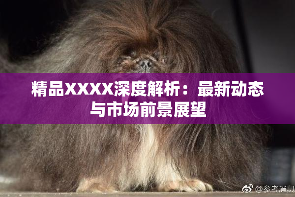 精品XXXX深度解析：最新动态与市场前景展望