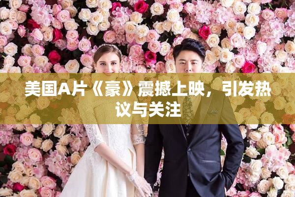 美国A片《豪》震撼上映，引发热议与关注