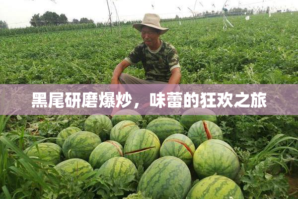 黑尾研磨爆炒，味蕾的狂欢之旅