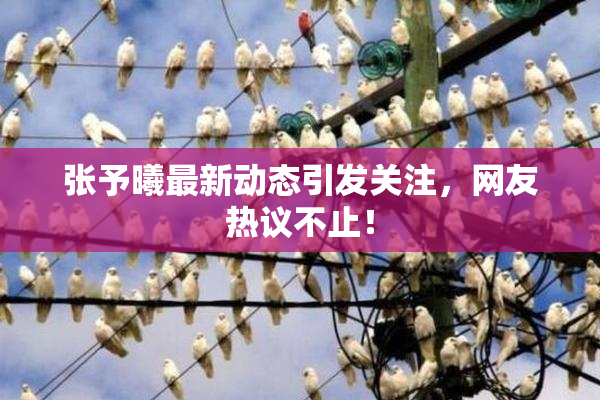 张予曦最新动态引发关注，网友热议不止！