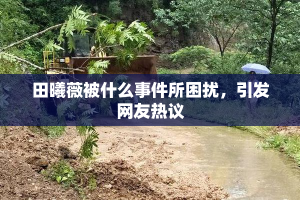 田曦薇被什么事件所困扰，引发网友热议