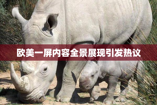 欧美一屏内容全景展现引发热议