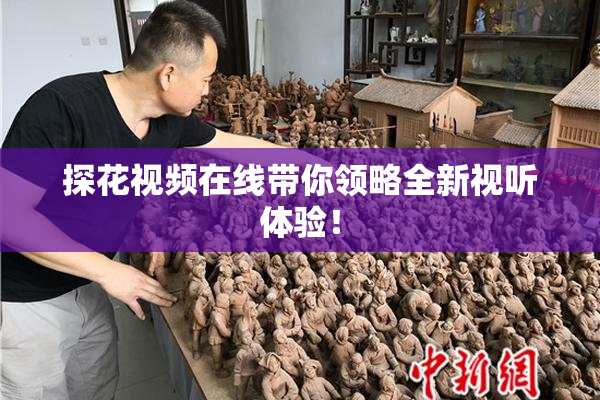 探花视频在线带你领略全新视听体验！