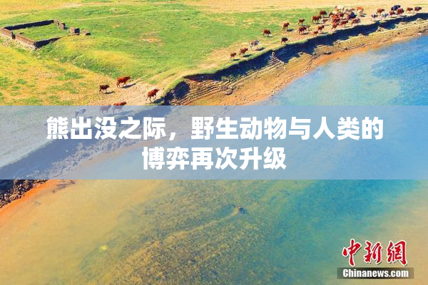 熊出没之际，野生动物与人类的博弈再次升级