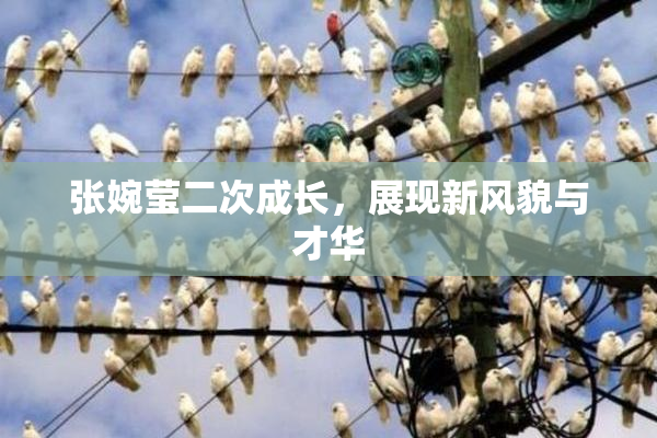 张婉莹二次成长，展现新风貌与才华