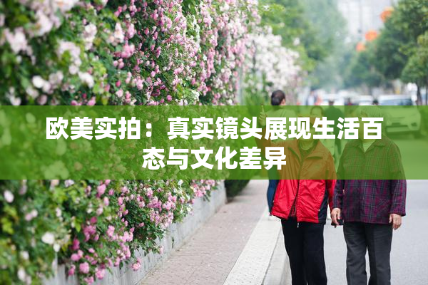 欧美实拍：真实镜头展现生活百态与文化差异