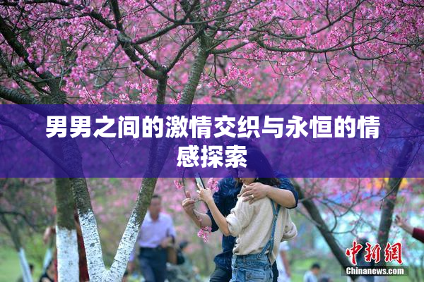 男男之间的激情交织与永恒的情感探索