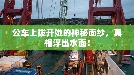 公车上拨开她的神秘面纱，真相浮出水面！
