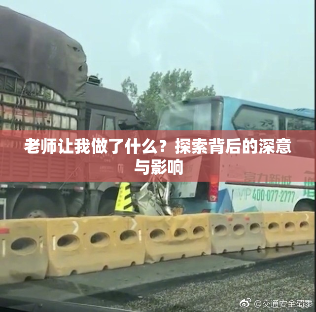 老师让我做了什么？探索背后的深意与影响