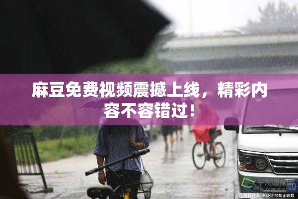 麻豆免费视频震撼上线，精彩内容不容错过！