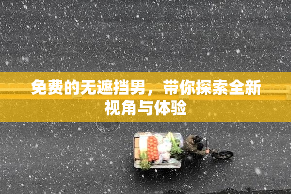 免费的无遮挡男，带你探索全新视角与体验