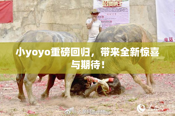 小yoyo重磅回归，带来全新惊喜与期待！