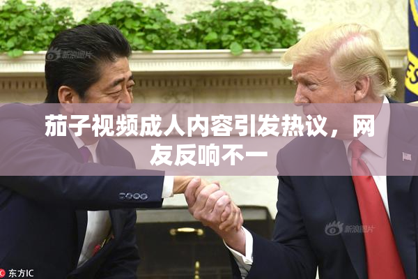茄子视频成人内容引发热议，网友反响不一