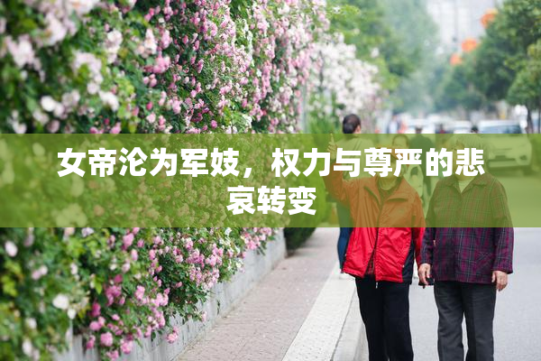 女帝沦为军妓，权力与尊严的悲哀转变