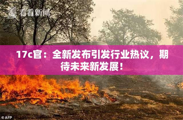 17c官：全新发布引发行业热议，期待未来新发展！