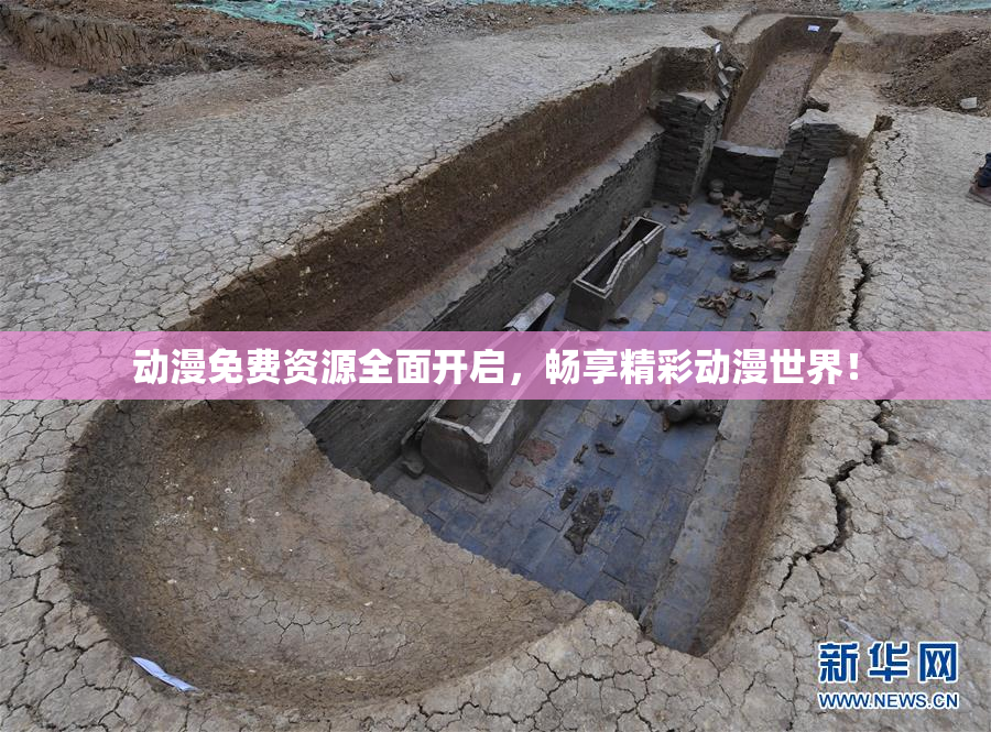 动漫免费资源全面开启，畅享精彩动漫世界！
