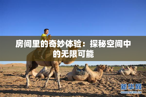 房间里的奇妙体验：探秘空间中的无限可能