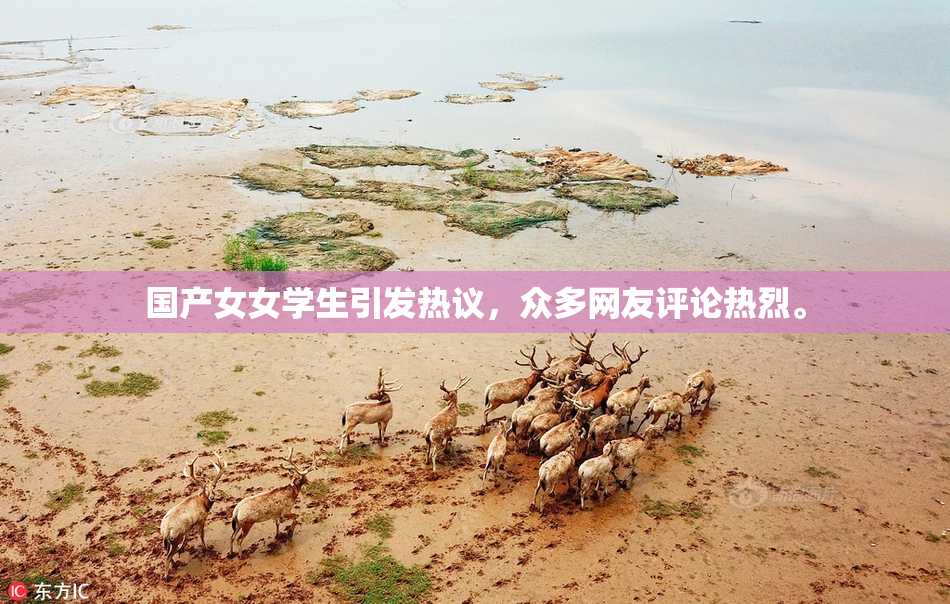 国产女女学生引发热议，众多网友评论热烈。