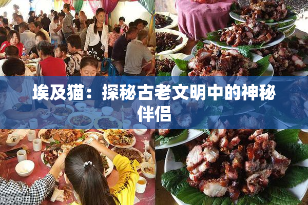 埃及猫：探秘古老文明中的神秘伴侣