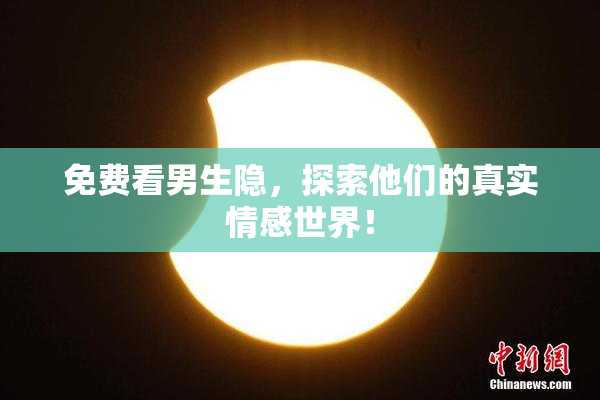 免费看男生隐，探索他们的真实情感世界！