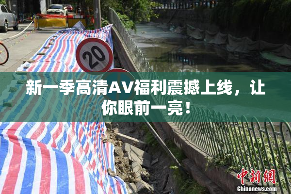新一季高清AV福利震撼上线，让你眼前一亮！