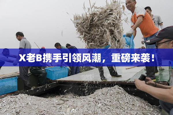 X老B携手引领风潮，重磅来袭！
