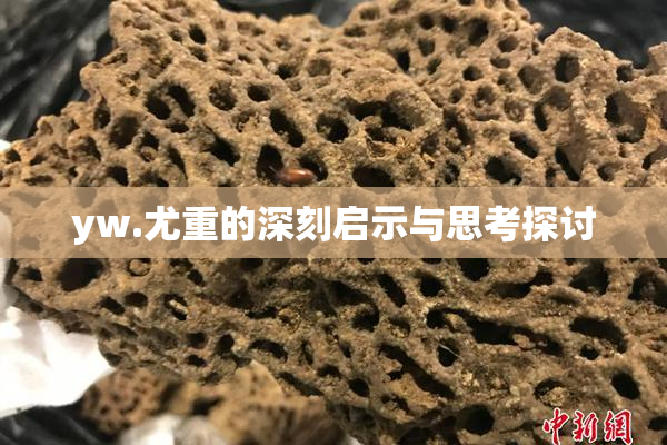 yw.尤重的深刻启示与思考探讨
