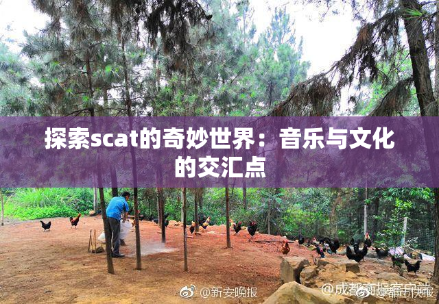 探索scat的奇妙世界：音乐与文化的交汇点