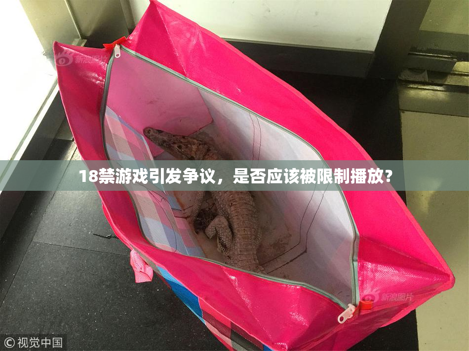 18禁游戏引发争议，是否应该被限制播放？