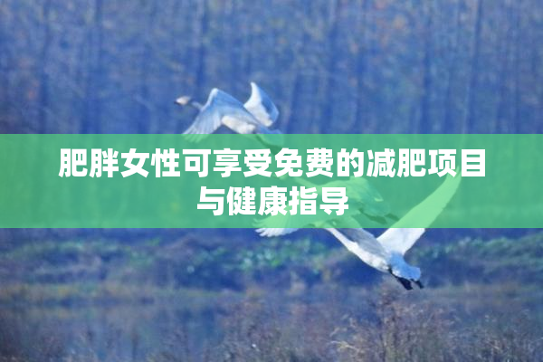 肥胖女性可享受免费的减肥项目与健康指导