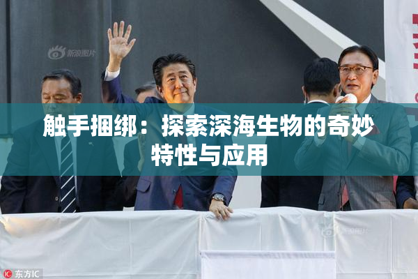 触手捆绑：探索深海生物的奇妙特性与应用