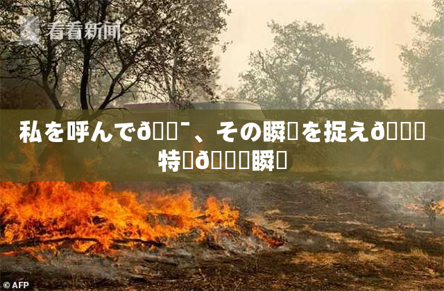 私を呼んで🔯、その瞬間を捉え🌃特別🍑瞬間