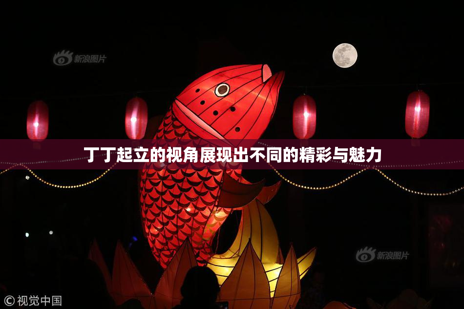 丁丁起立的视角展现出不同的精彩与魅力