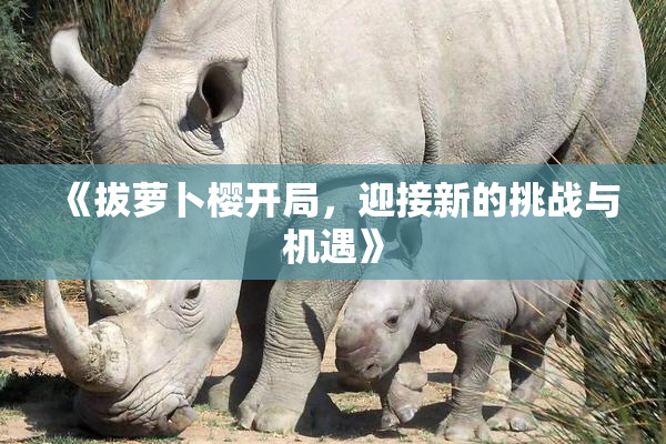 《拔萝卜樱开局，迎接新的挑战与机遇》