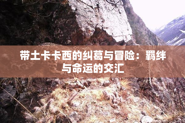 带土卡卡西的纠葛与冒险：羁绊与命运的交汇