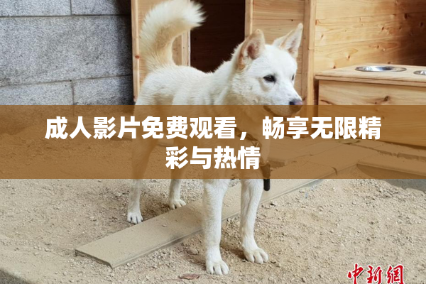 成人影片免费观看，畅享无限精彩与热情