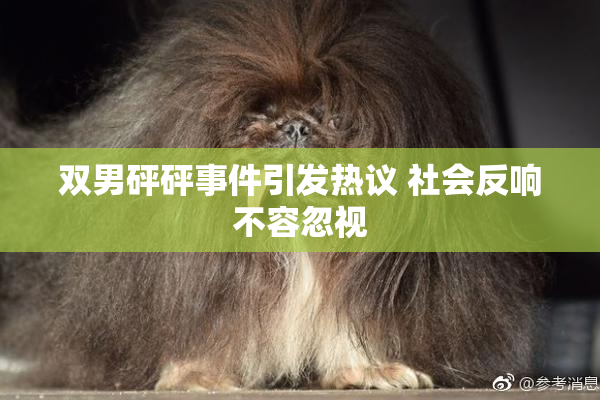 双男砰砰事件引发热议 社会反响不容忽视