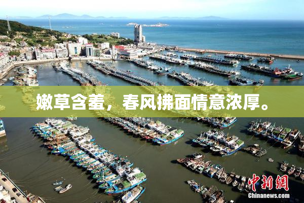 嫩草含羞，春风拂面情意浓厚。