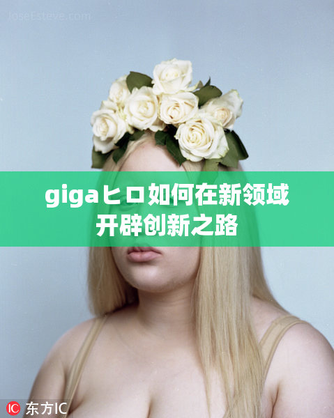 gigaヒロ如何在新领域开辟创新之路