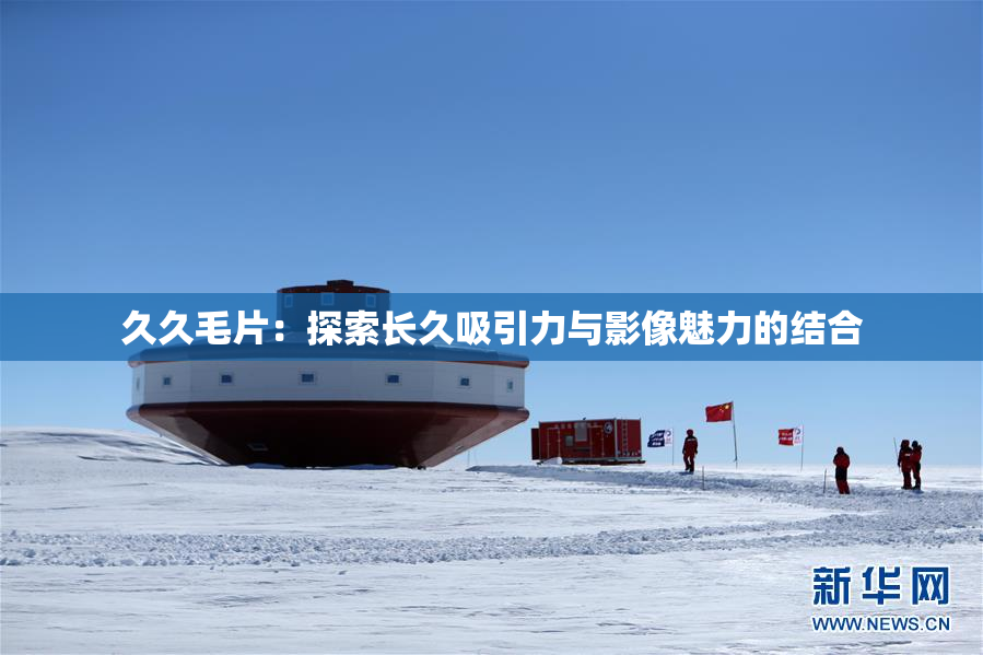 久久毛片：探索长久吸引力与影像魅力的结合