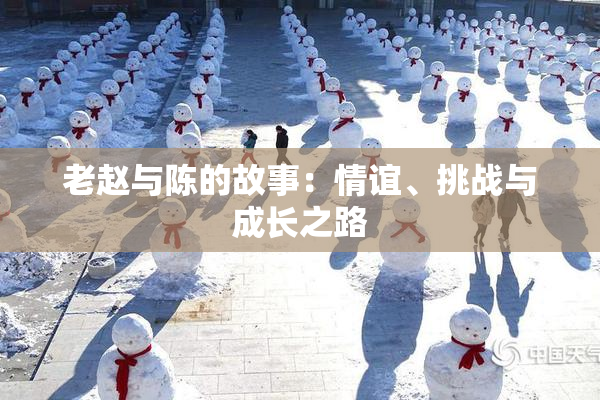 老赵与陈的故事：情谊、挑战与成长之路