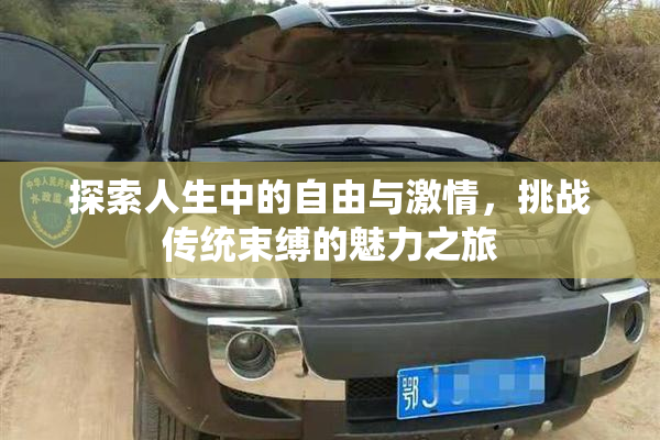 探索人生中的自由与激情，挑战传统束缚的魅力之旅