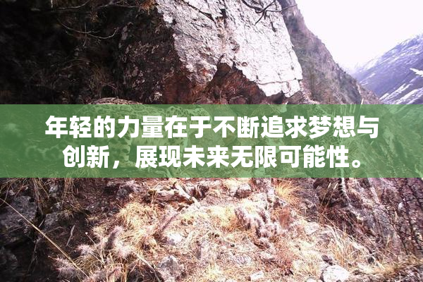年轻的力量在于不断追求梦想与创新，展现未来无限可能性。